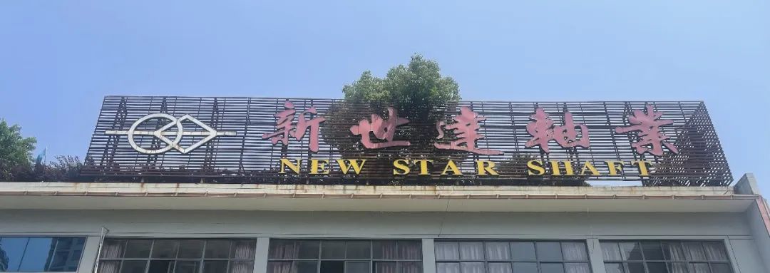 5555.jpg