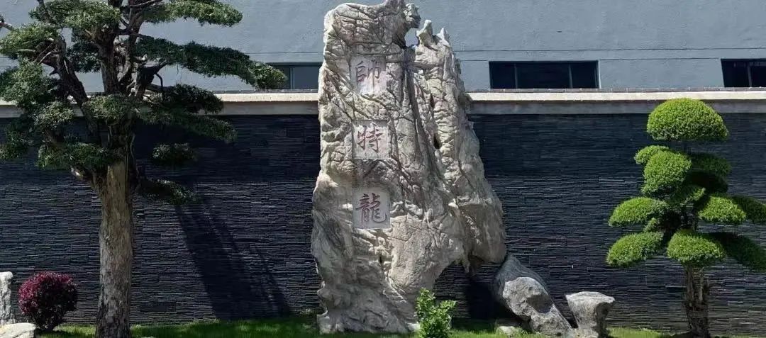6666.jpg